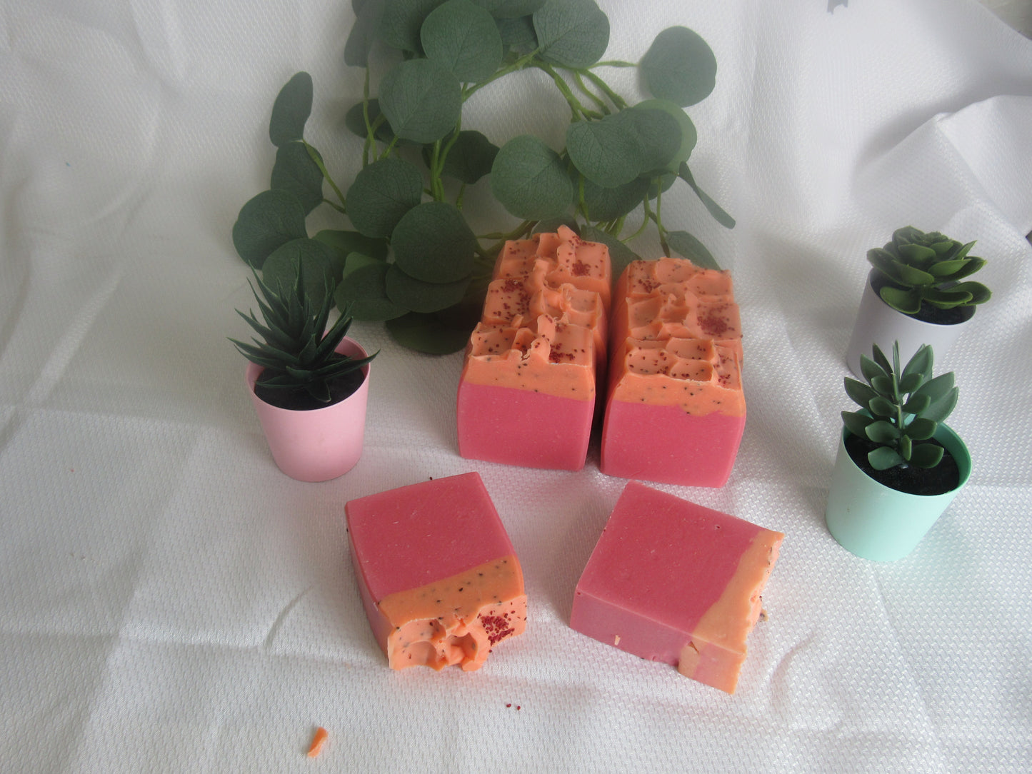 CRANBERRY & PLUMERIA EXFOLIATING BAR