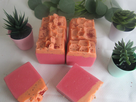 CRANBERRY & PLUMERIA EXFOLIATING BAR