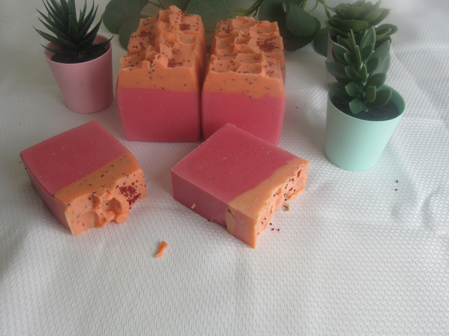 CRANBERRY & PLUMERIA EXFOLIATING BAR