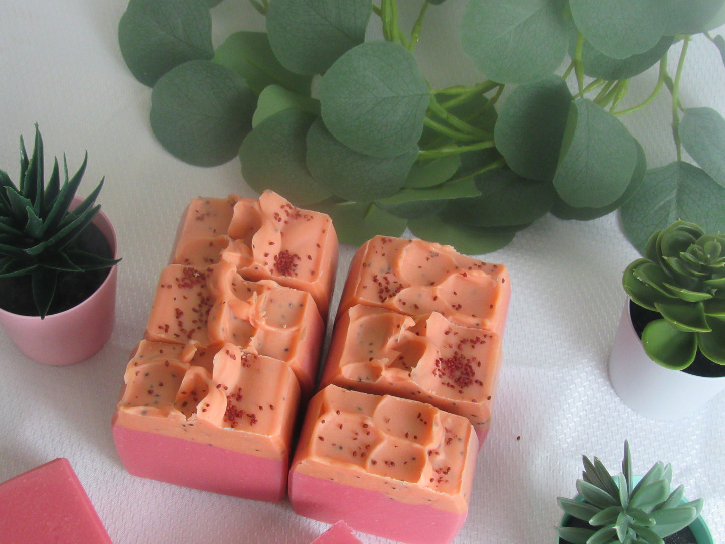 CRANBERRY & PLUMERIA EXFOLIATING BAR