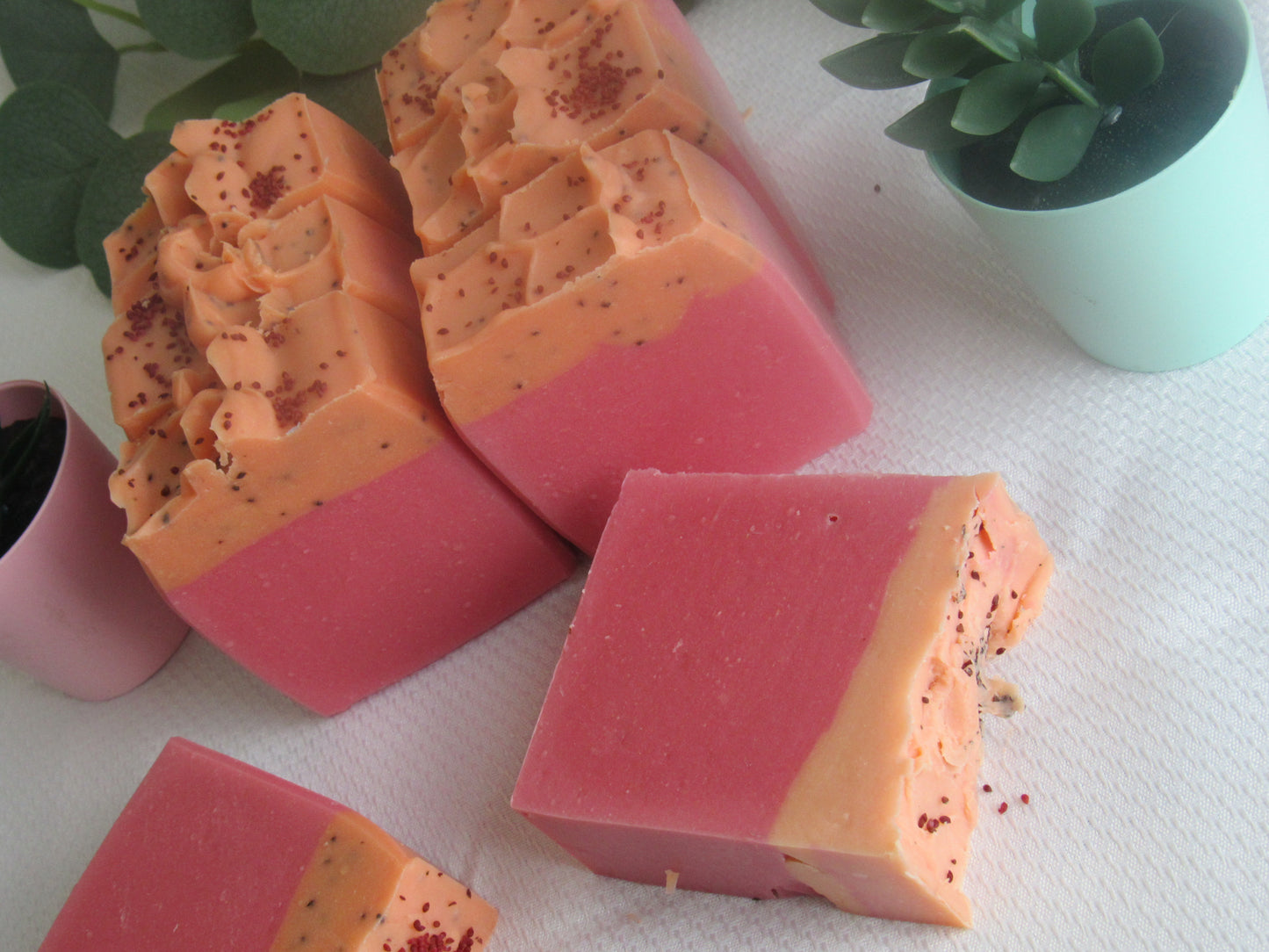 CRANBERRY & PLUMERIA EXFOLIATING BAR